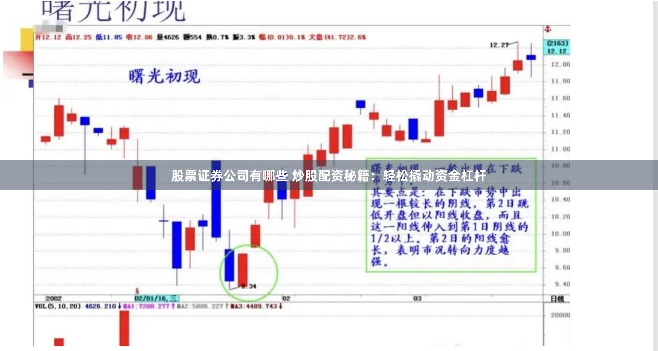 股票证券公司有哪些 炒股配资秘籍：轻松撬动资金杠杆